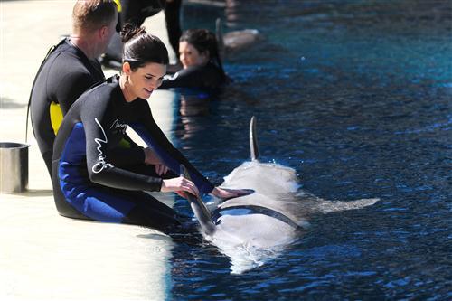 2012 5 15 2012 Dolphin Trainer For A Day 17