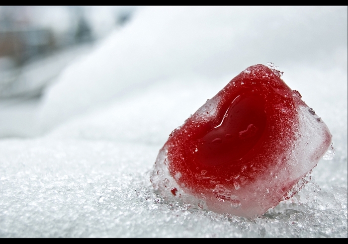 <=> Snow Heart <=>