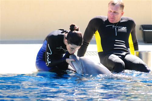 2012 5 15 2012 Dolphin Trainer For A Day 21