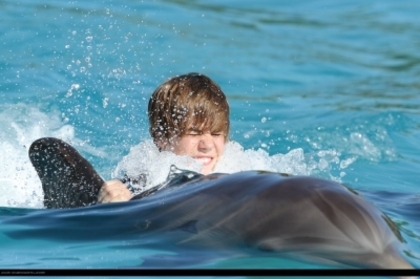16179001_WOIQTEOWC - Justin Bieber in water with dolphin