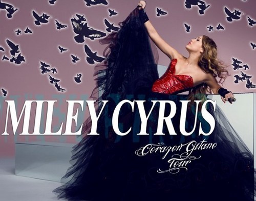 Gypsy Heart Tour ! @ARE EXCITED!!!