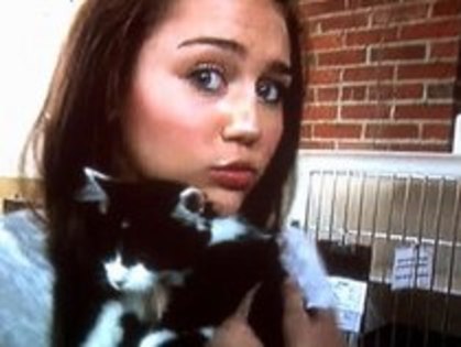 Me With A Cat - Miley Cyrus Me