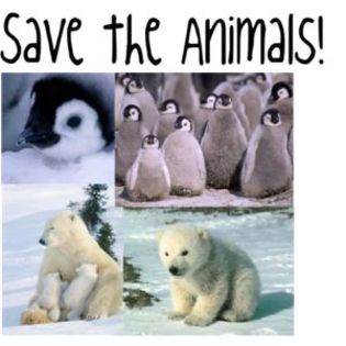 Save!!!