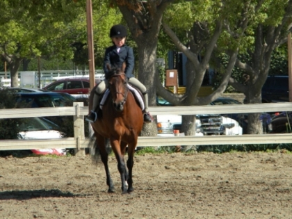 Horse Show28