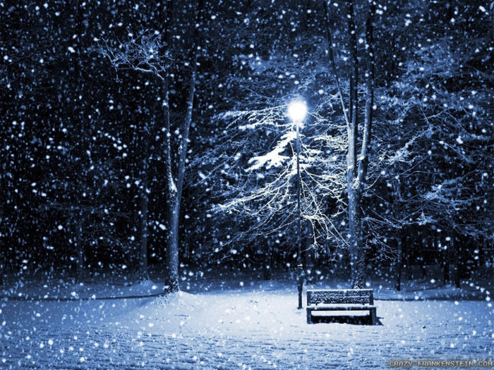 beautiful-winter-night-wallpapers-1024x768 - Most Beautiful Landscapes