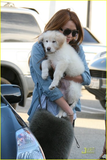 Miley-Out-in-LA-miley-cyrus-10075246-817-1222