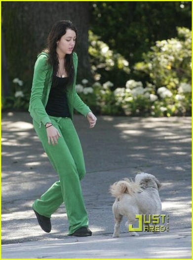 miley-cyrus-stray-dog-15