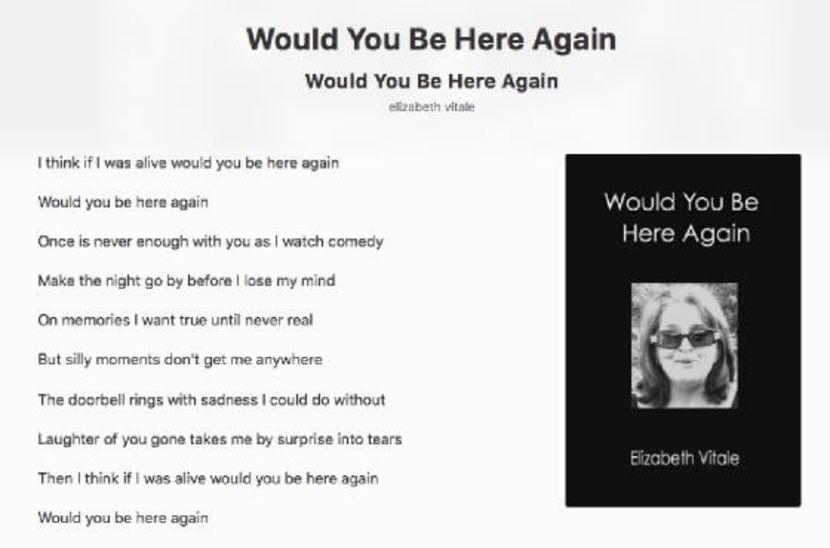 Would You Be Here Again - EVitale Writings with Photos Stories
