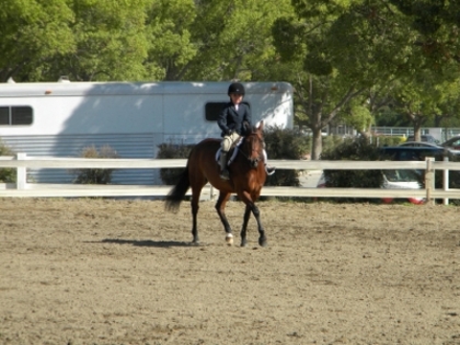 Horse Show31