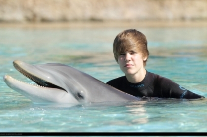 16179046_IQARNLTLE - Justin Bieber in water with dolphin