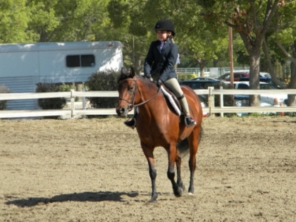 Horse Show32