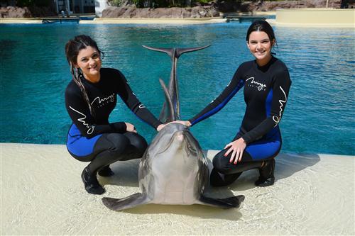 2012 5 15 2012 Dolphin Trainer For A Day 102