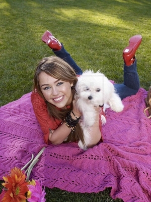 Miley Cyrus Photoshoot 003 (3) - Miley Cyrus Photoshoot 003