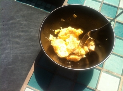 Yummy! Grilled chicken and eggs by the pool :)