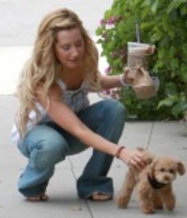 ashley_tisdale_ashley_tisdale_downblouse_eAO6J3D_thumb - Me and my dogs Blondie and Maui