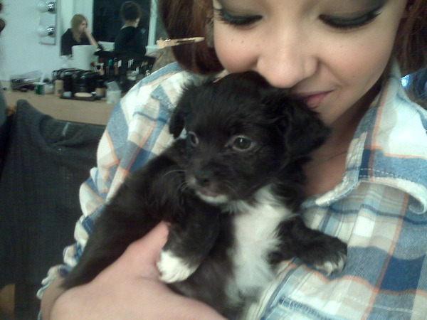 LOOK AT THE PUPPY Angie\'s mom brought to the shoot- I MAY DIE! SO CUTE!