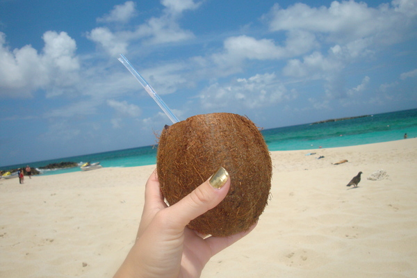 All we did all morning was drink juice outa coconuts on the beach! I love the bahamas! off to rehear - Bahamas