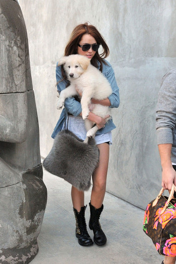 Miley+Cyrus+holds+fluffy+white+puppy+while+5QaFHsgzT27l
