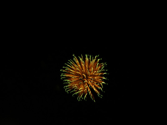 Balloon Festival and Fireworks (19)
