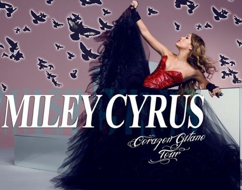 Gypsy Heart - About Gypsy Heart