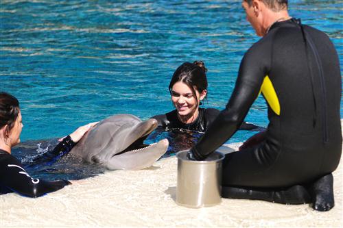 2012 5 15 2012 Dolphin Trainer For A Day 83