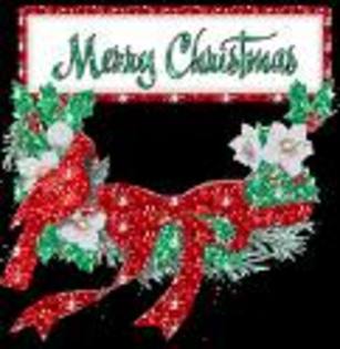 COOL - Marry Christmas my friends