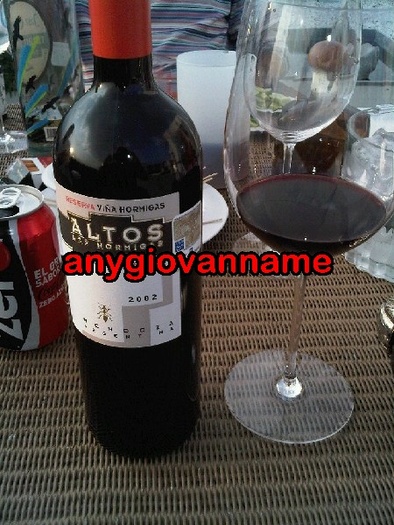 vino de la region de mendoza argentina - 0 a Big Proofs 04