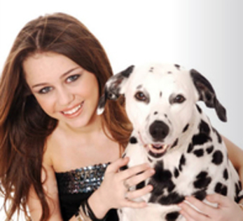 Miley Dog