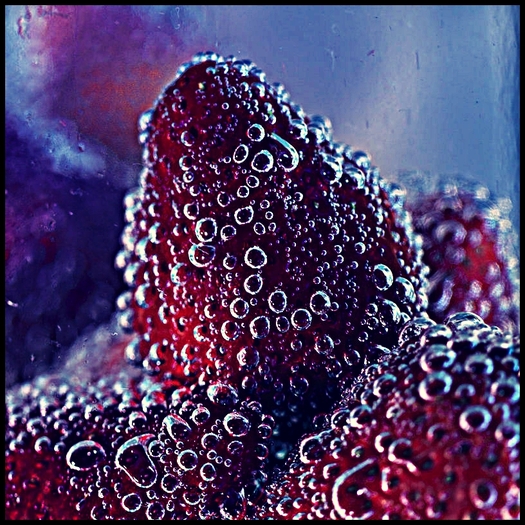 bubbleberry_by_ymntle_aleoni-d3afdhk