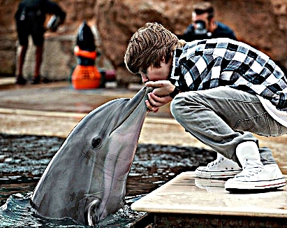 15617662_QJFNMXBLY - Justin Bieber in water with dolphin