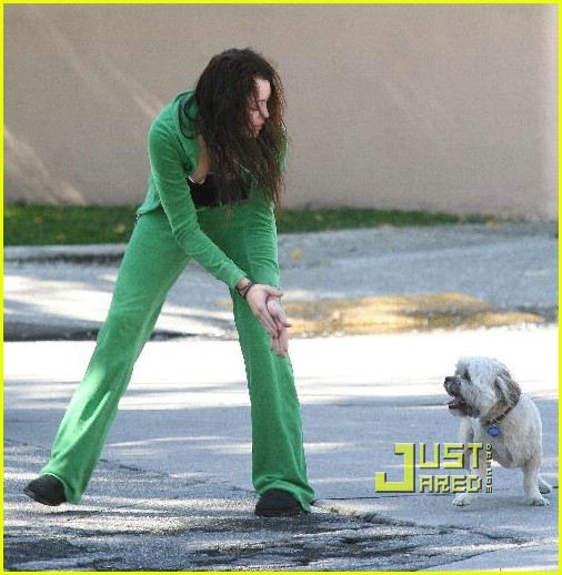 miley-cyrus-stray-dog-27