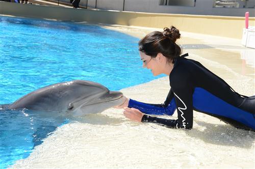 2012 5 15 2012 Dolphin Trainer For A Day 28