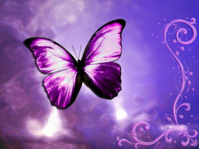 Purple ButterFly