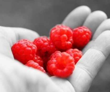 img_6473k_158574437_thumb - raspberry