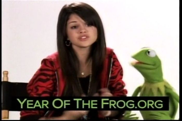 Year of the Frog Promo (11)