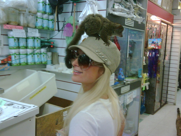 Chillin on my hat. Haha - Sunglasses