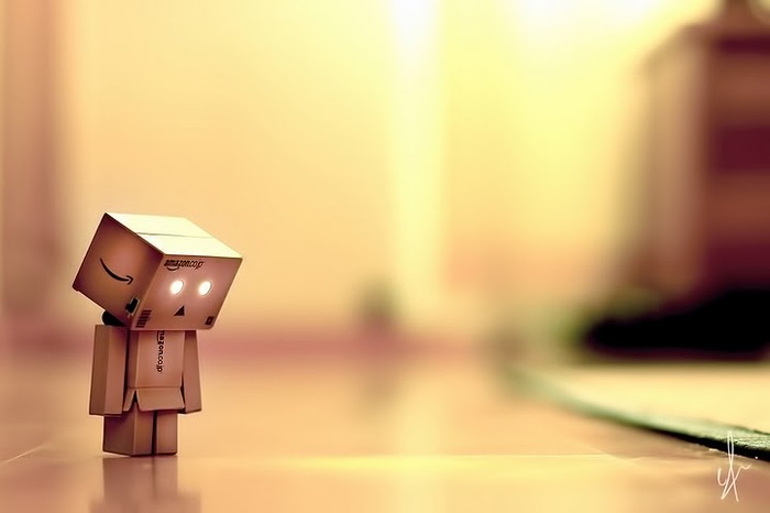 danbo