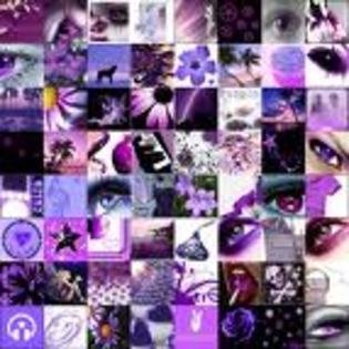 img - I love purple