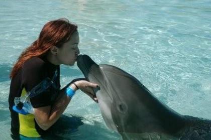 with dolphins