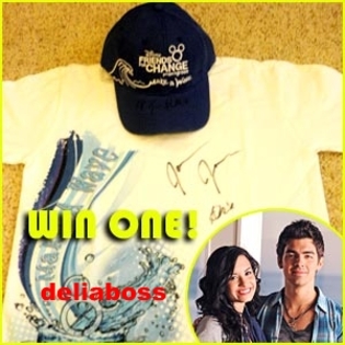 4 - a T-shirt signed by JOE and Demi