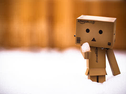 danbo4