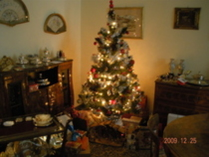 christmas tree - 0 Rare Pics with my house 0