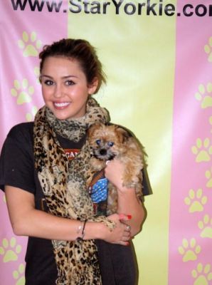 normal_star-yorkies-family-album-01-11-31_wm_0 - x - This Is Miley - x