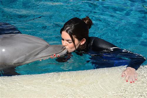 2012 5 15 2012 Dolphin Trainer For A Day 45