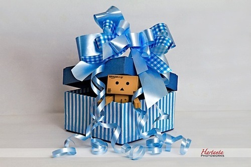 Even-More-Danbo-Cuteness-Gallery-By-Hartanta-Photoworks-02_large