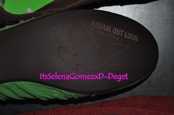 Dream Out Loud 5