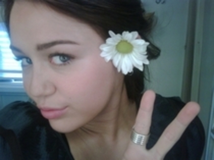 flower - real Miley