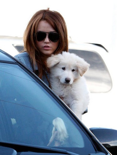 Miley and mate 5