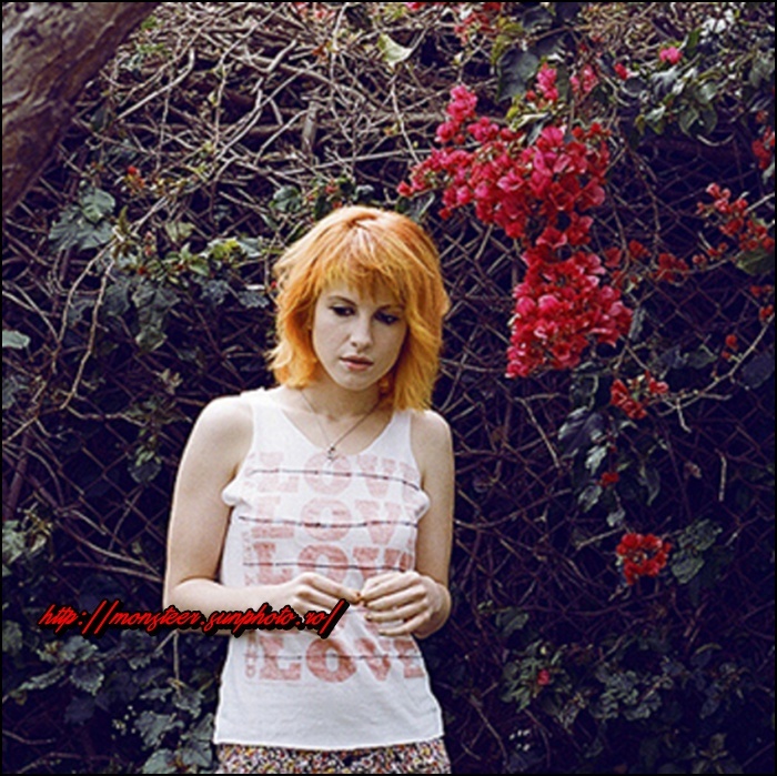 Copy (2) of cute-fashion-hayley-paramore-pretty-Favim.com-65183