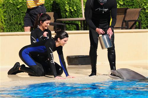 2012 5 15 2012 Dolphin Trainer For A Day 79